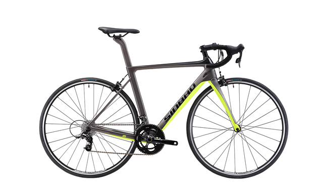 ROAD BIKE LE100